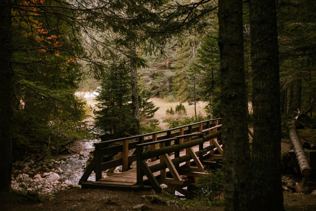 A peaceful wooden bridge crossing a stream in a lush forest setting, surrounded by trees.